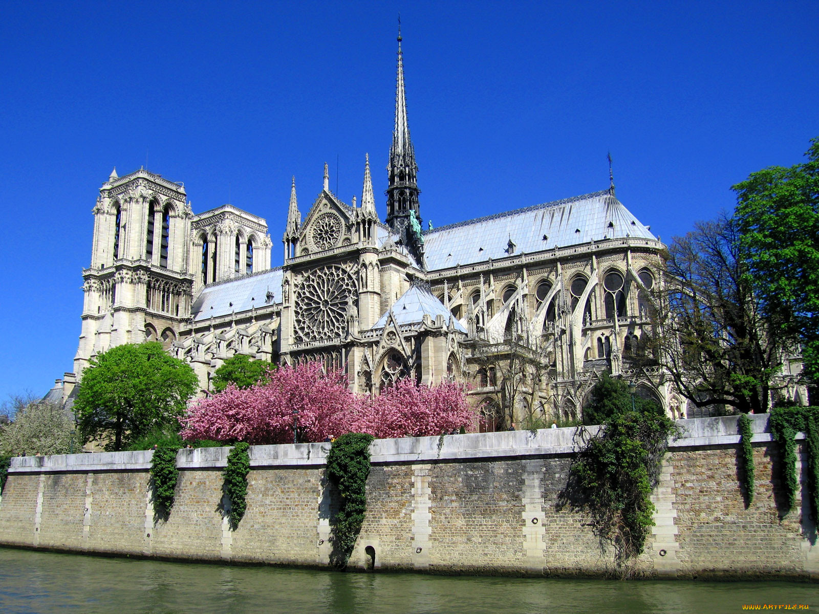 notre, dame, de, paris, , , 